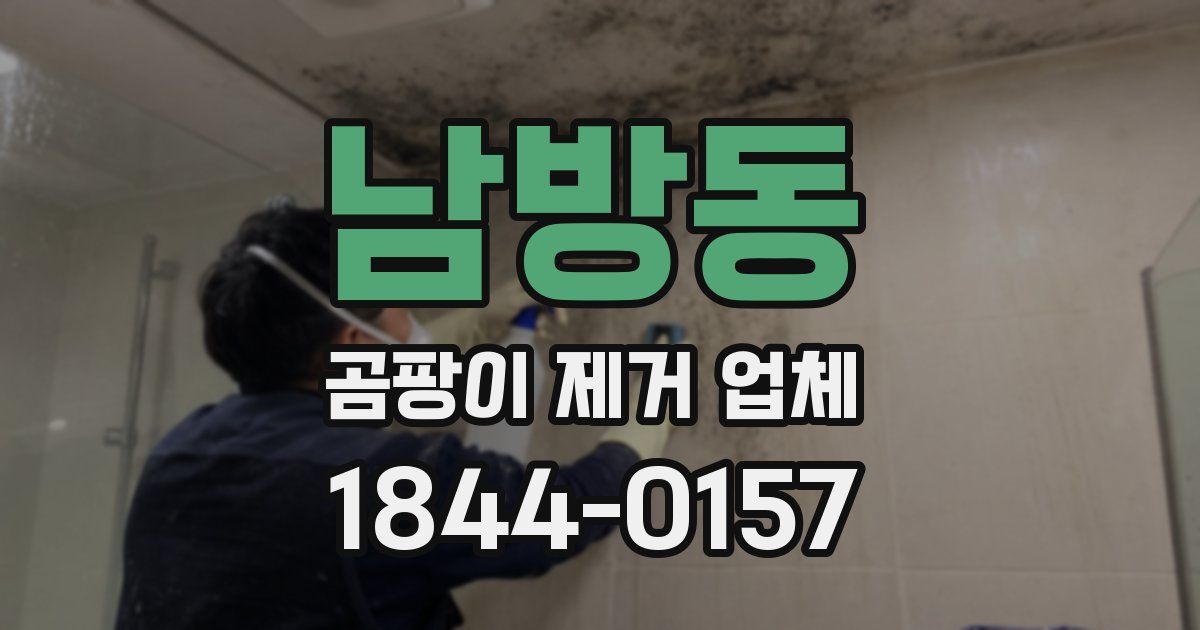 남방동 곰팡이 제거 업체