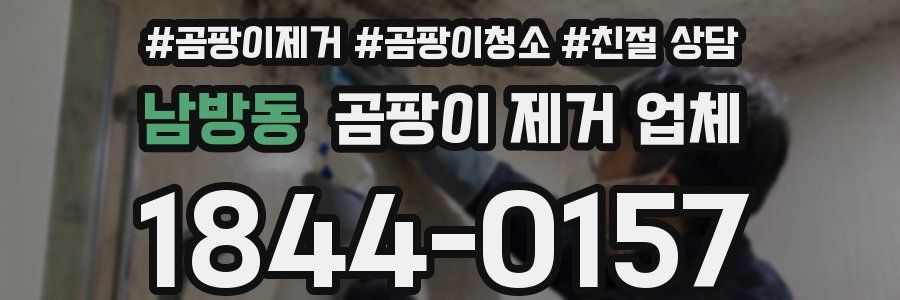 남방동 곰팡이 제거 업체