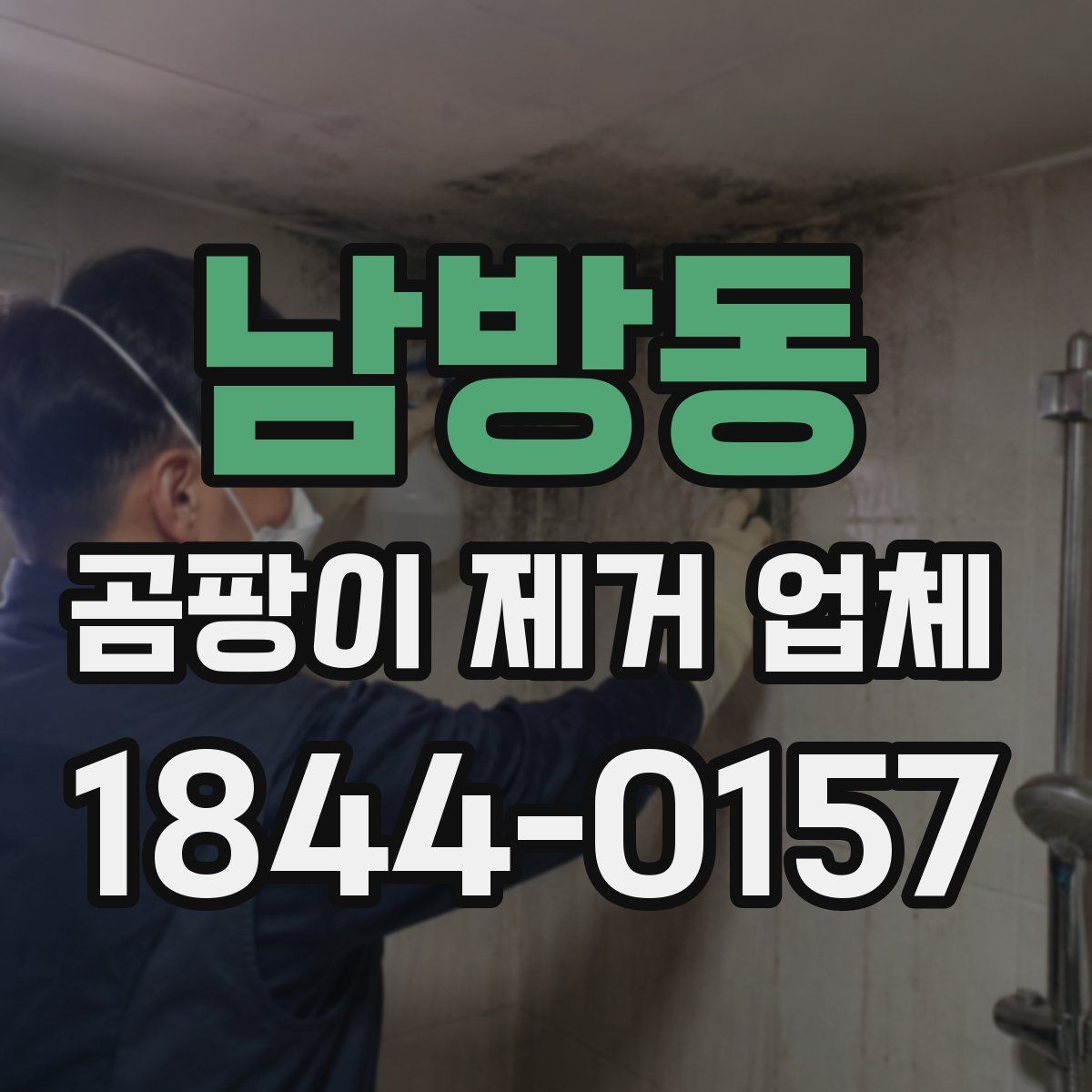 남방동 곰팡이 제거 업체