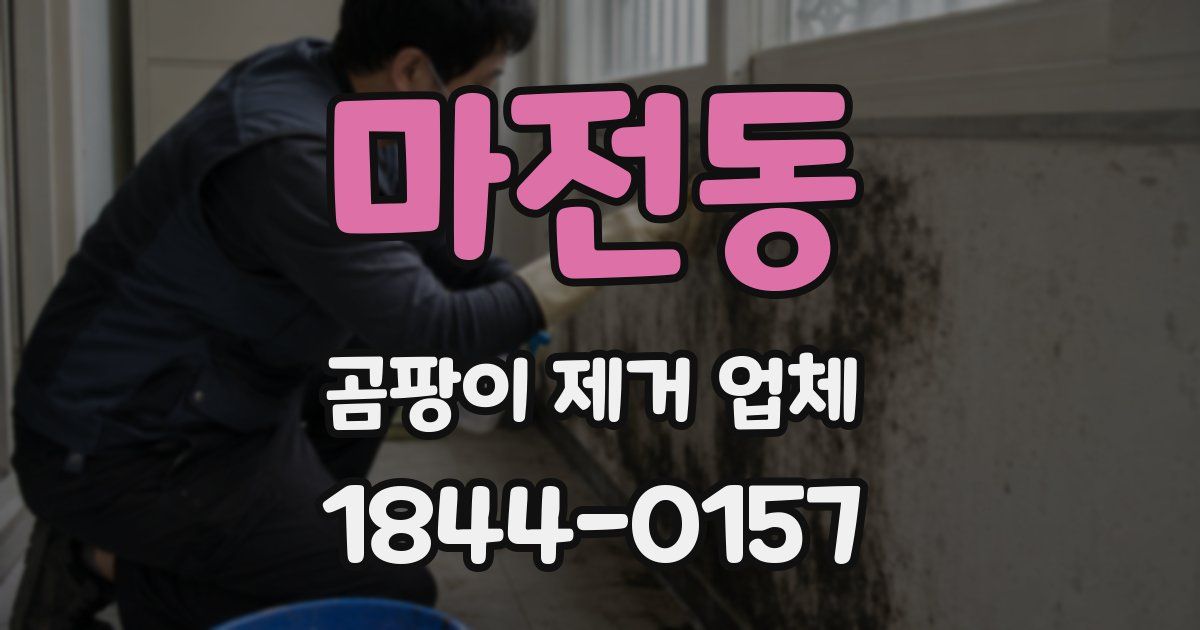 마전동 곰팡이 제거 업체