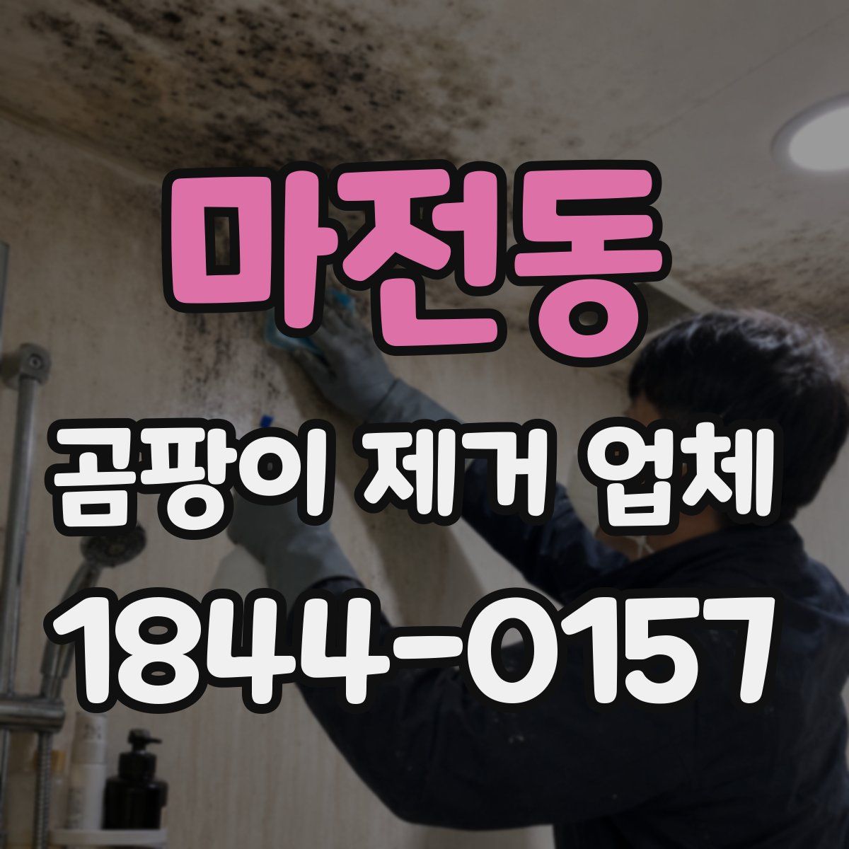 마전동 곰팡이 제거 업체