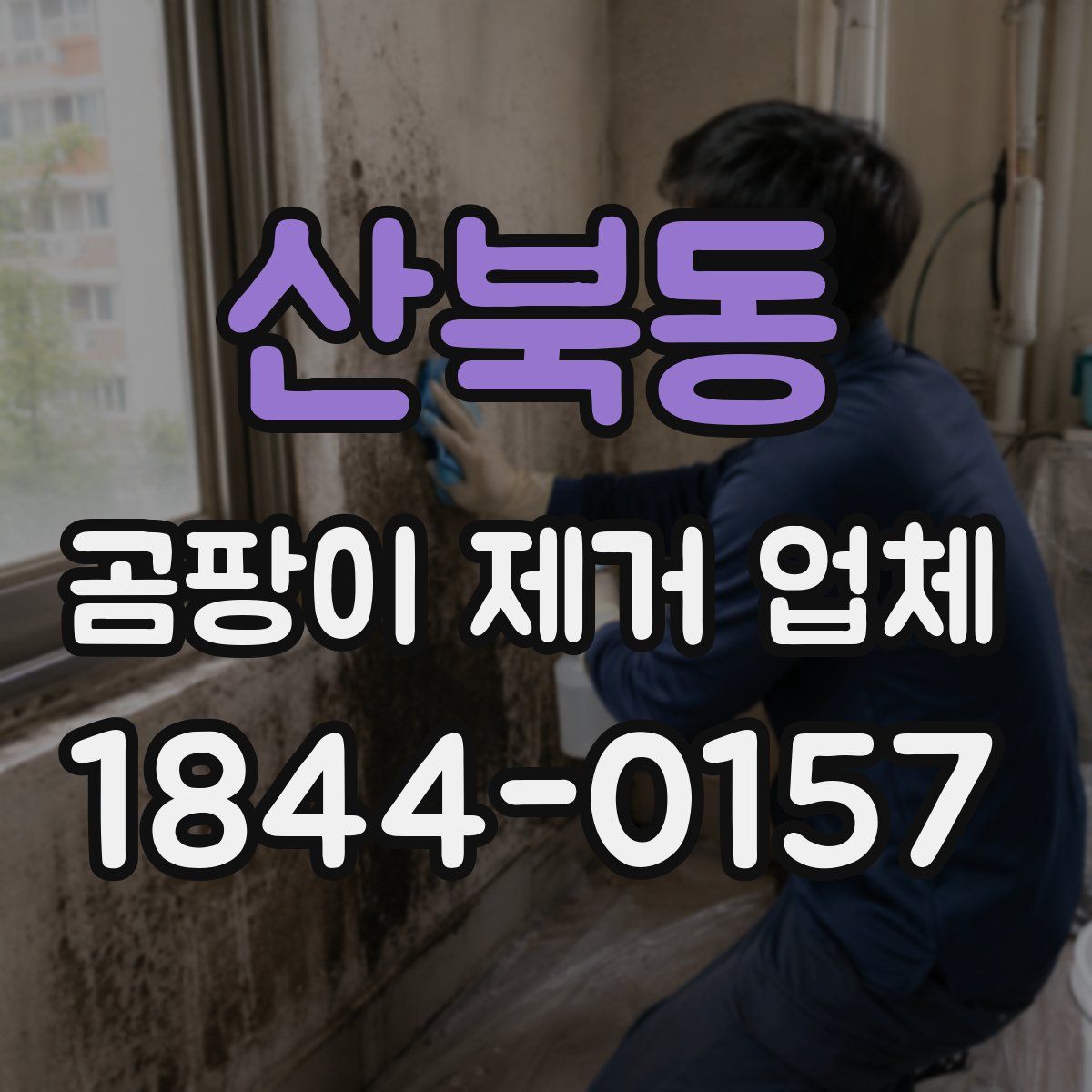 산북동 곰팡이 제거 업체