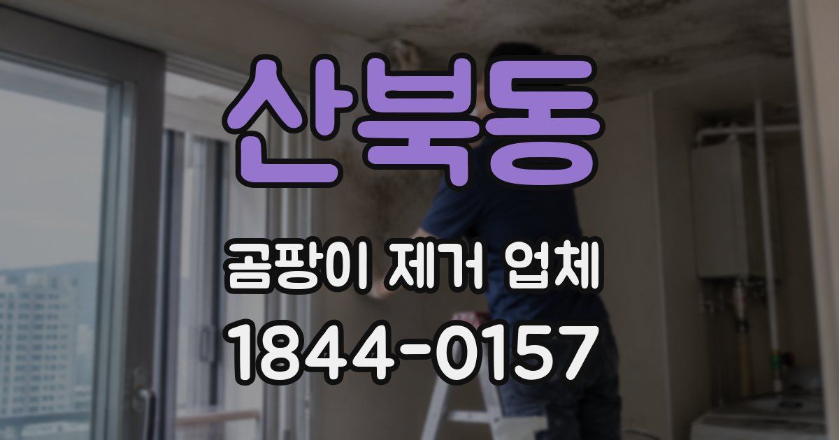 산북동 곰팡이 제거 업체