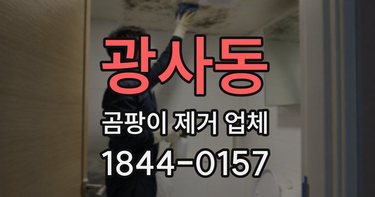 광사동 곰팡이 제거 업체