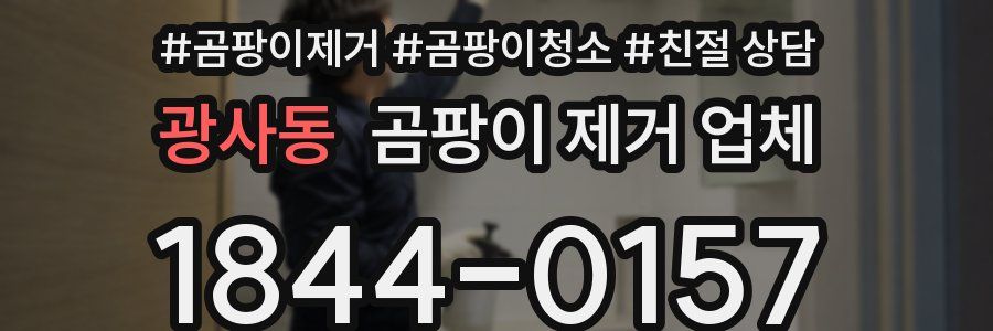 광사동 곰팡이 제거 업체