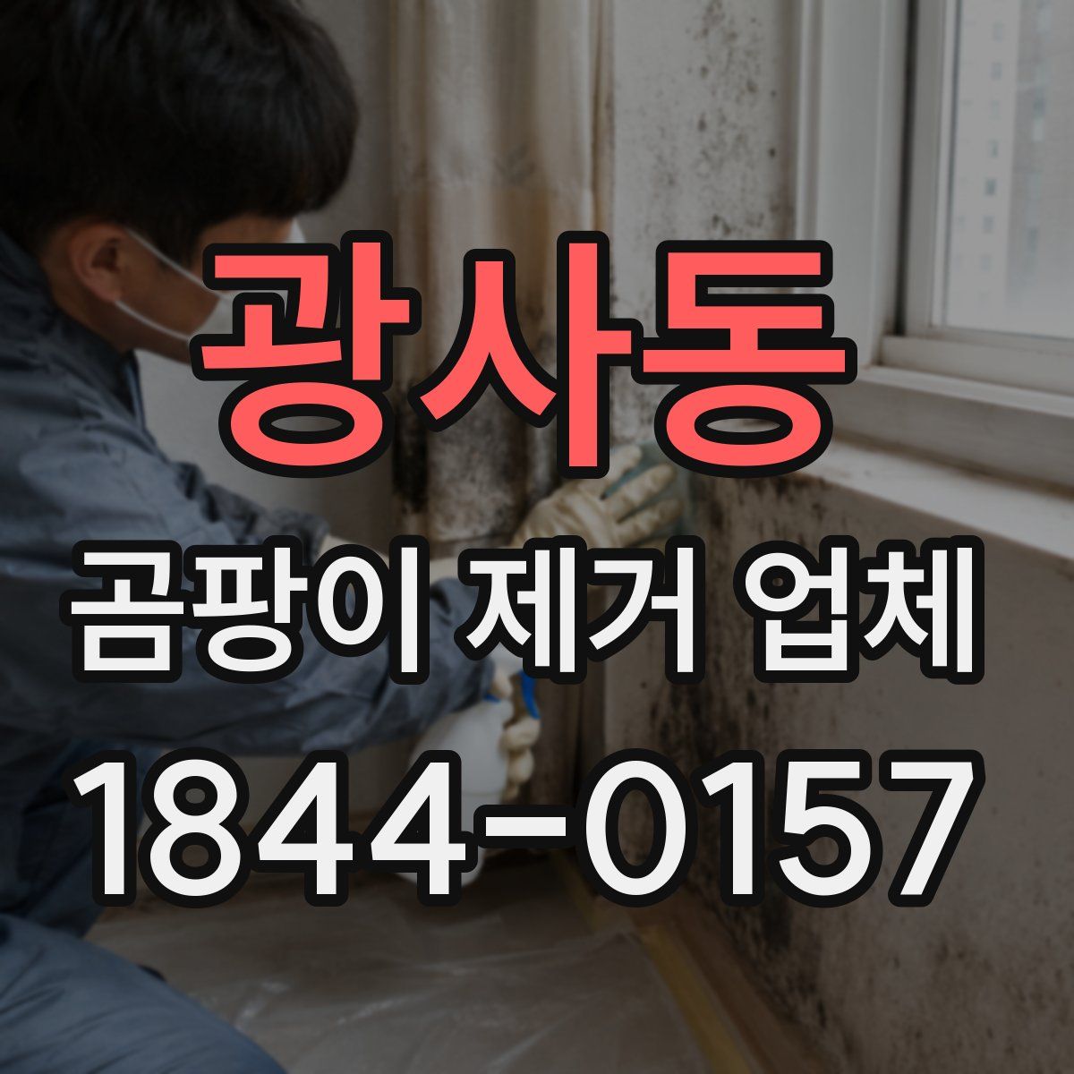 광사동 곰팡이 제거 업체