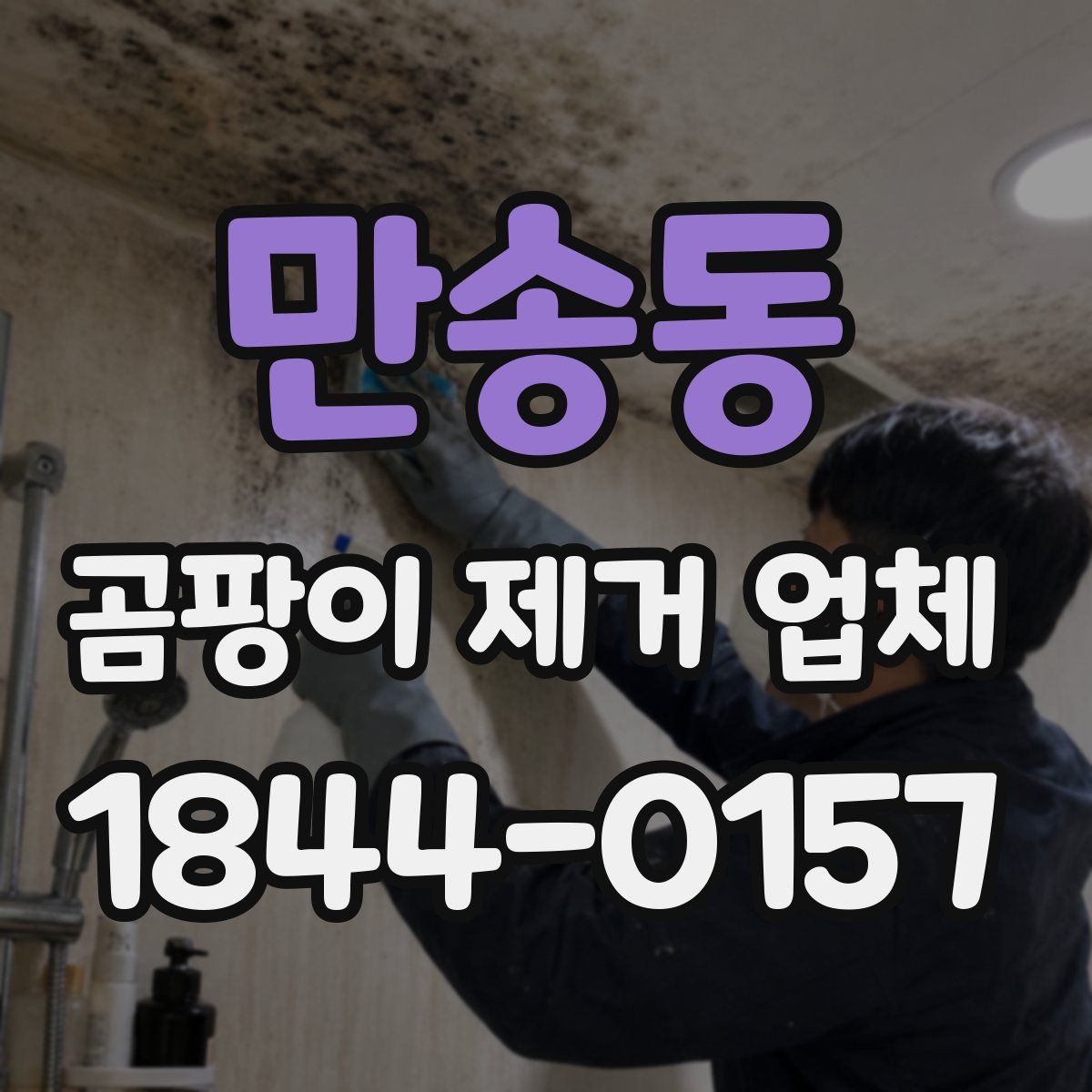 만송동 곰팡이 제거 업체