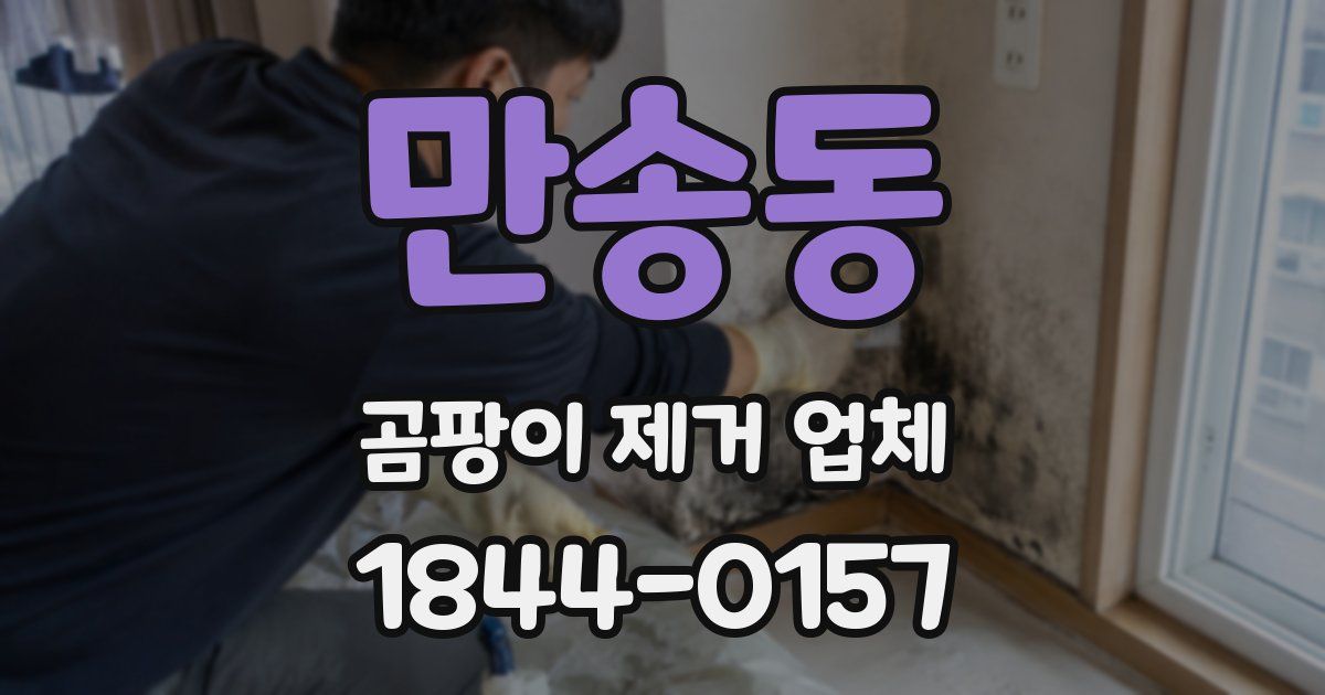 만송동 곰팡이 제거 업체