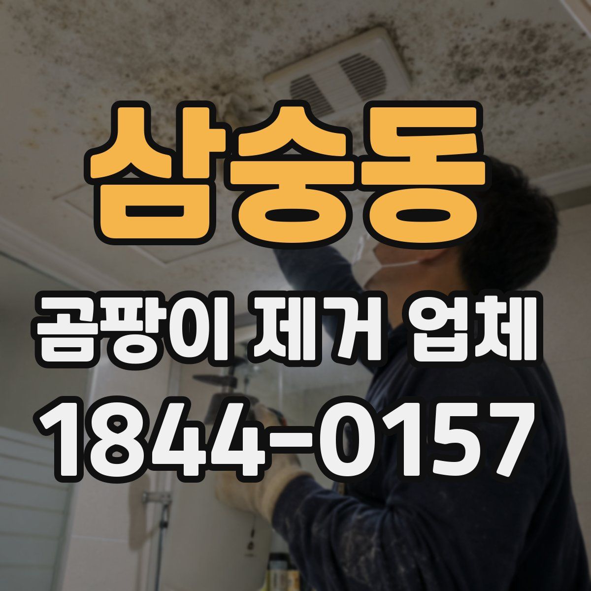 삼숭동 곰팡이 제거 업체