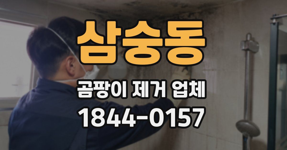 삼숭동 곰팡이 제거 업체