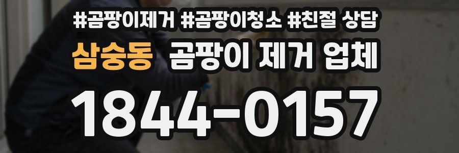 삼숭동 곰팡이 제거 업체