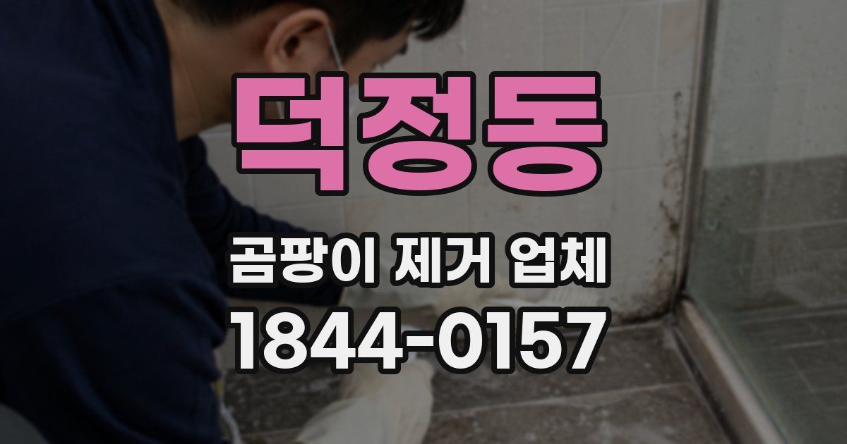 덕정동 곰팡이 제거 업체
