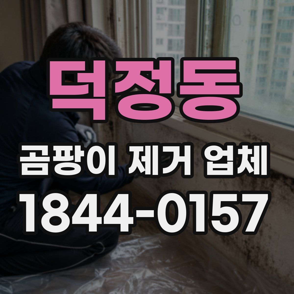 덕정동 곰팡이 제거 업체