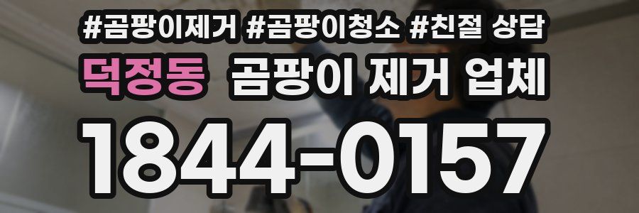 덕정동 곰팡이 제거 업체