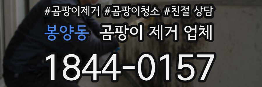 봉양동 곰팡이 제거 업체