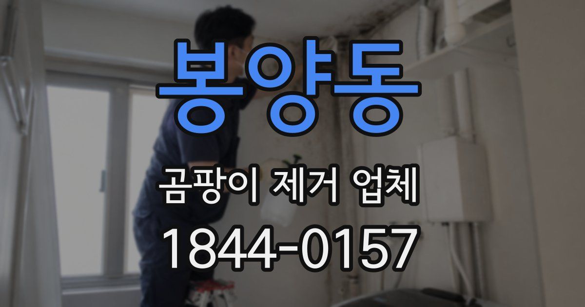 봉양동 곰팡이 제거 업체