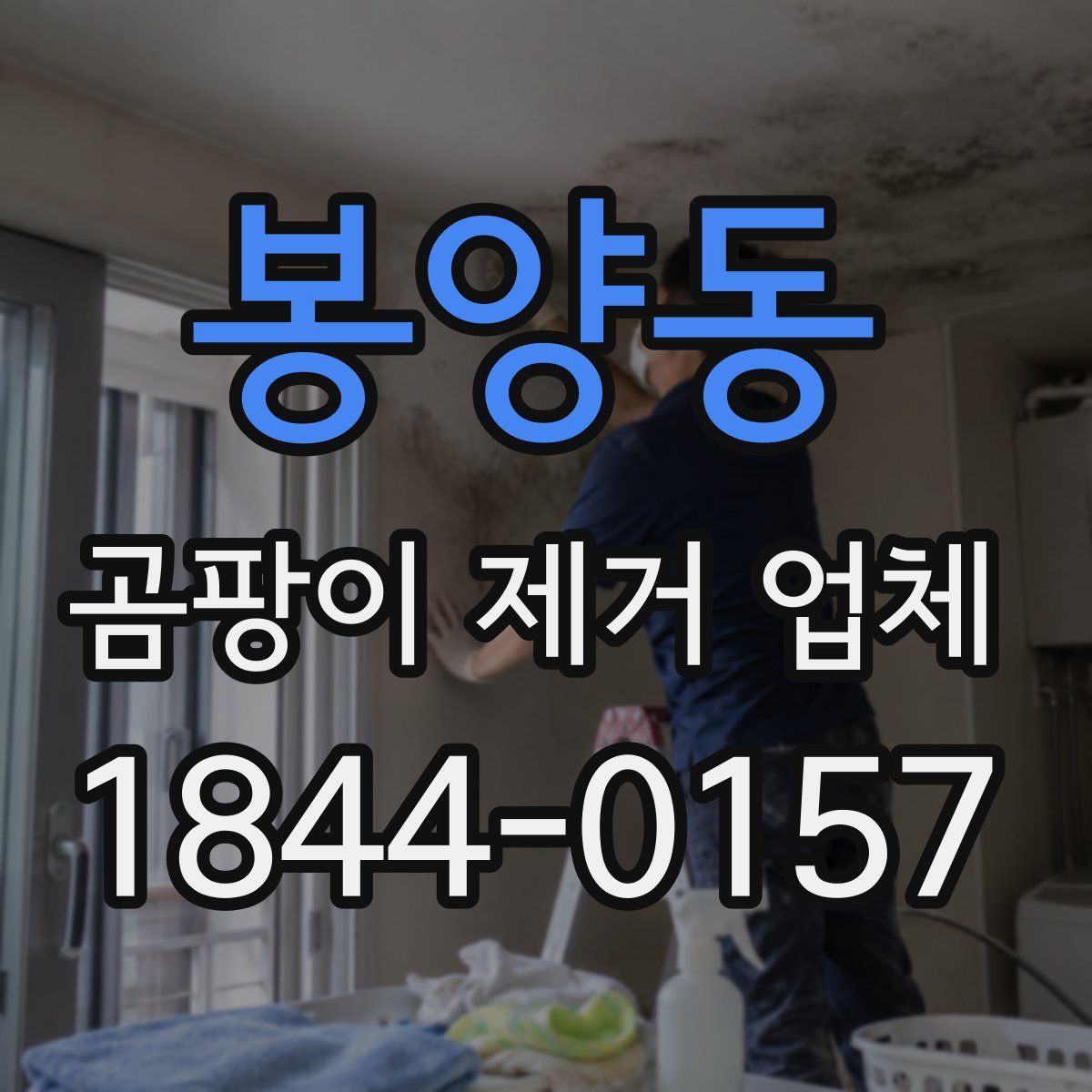 봉양동 곰팡이 제거 업체