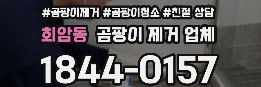 회암동 곰팡이 제거 업체