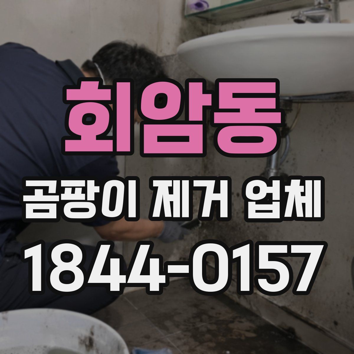 회암동 곰팡이 제거 업체
