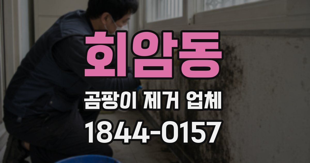 회암동 곰팡이 제거 업체