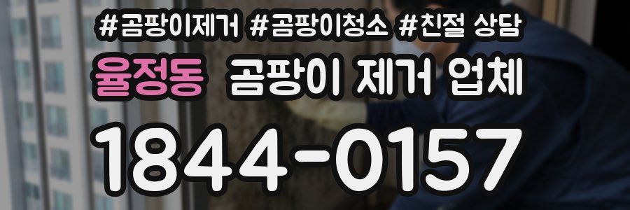 율정동 곰팡이 제거 업체