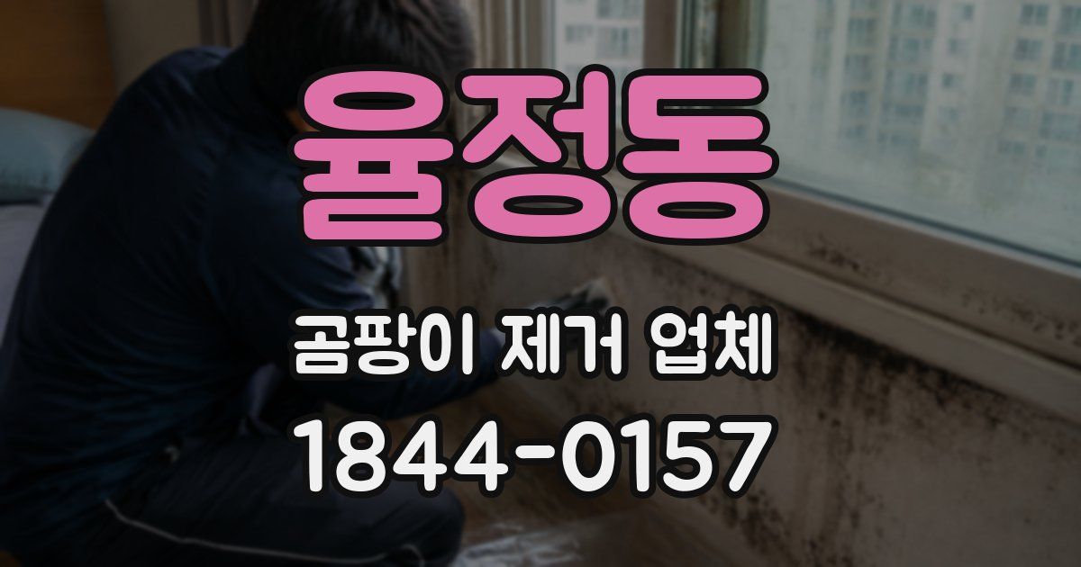 율정동 곰팡이 제거 업체