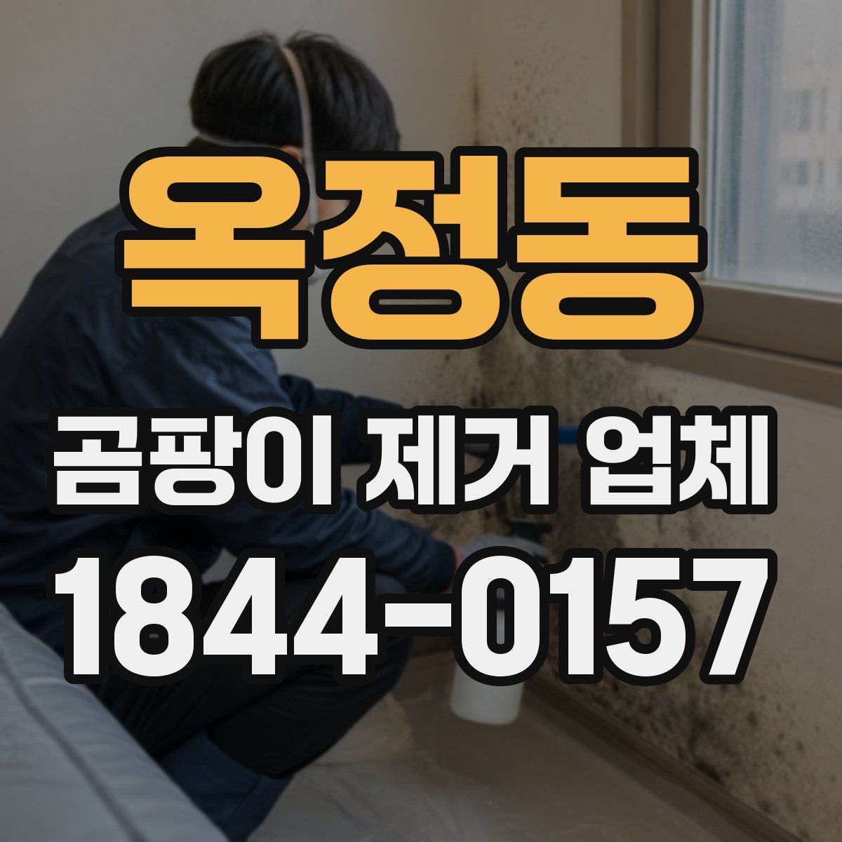 옥정동 곰팡이 제거 업체