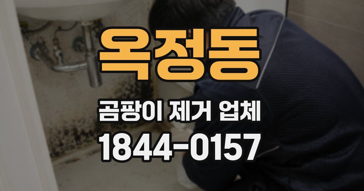 옥정동 곰팡이 제거 업체
