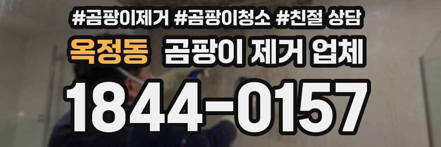 옥정동 곰팡이 제거 업체