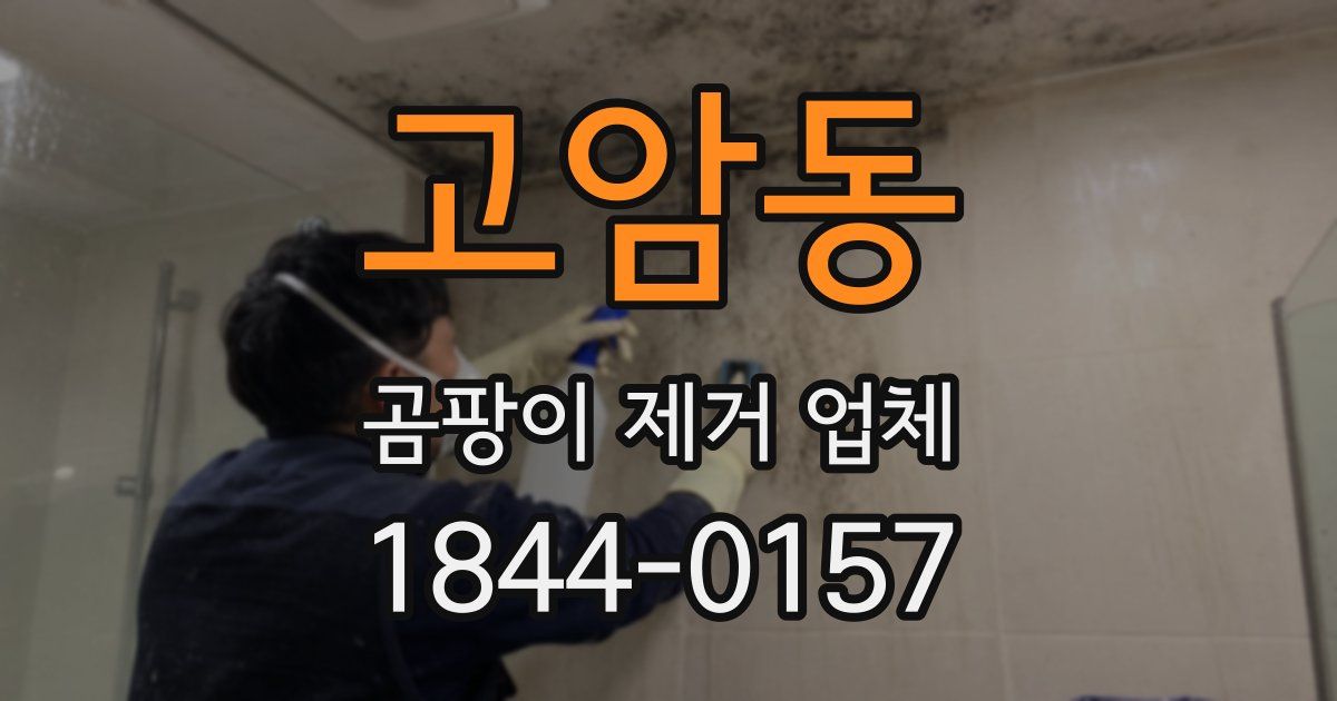 고암동 곰팡이 제거 업체