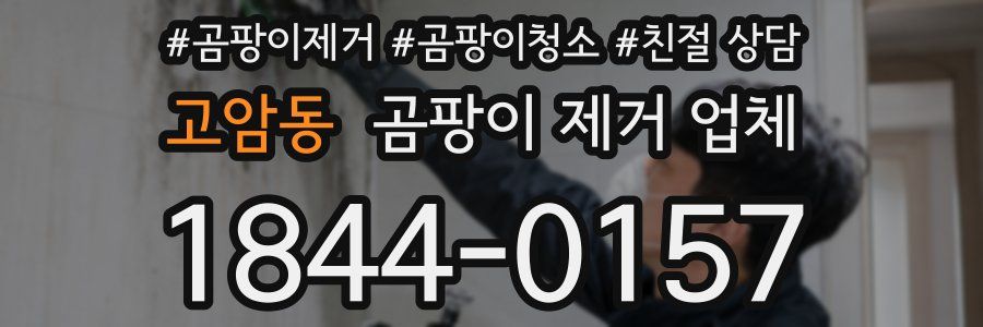 고암동 곰팡이 제거 업체