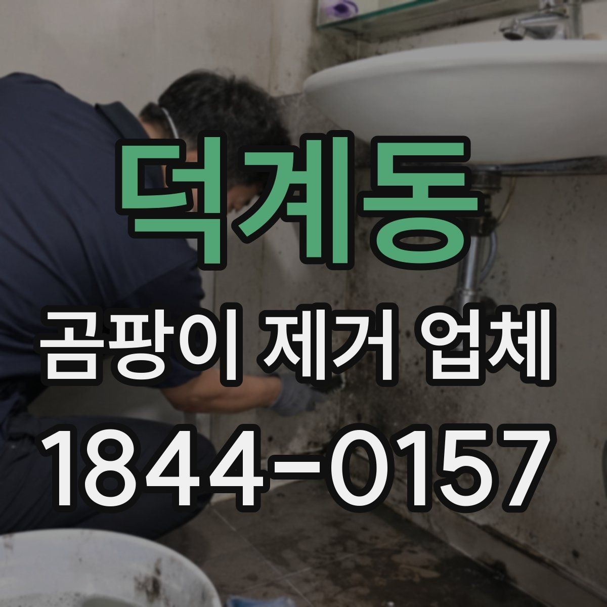 덕계동 곰팡이 제거 업체 이용 후기 분석하는 방법
