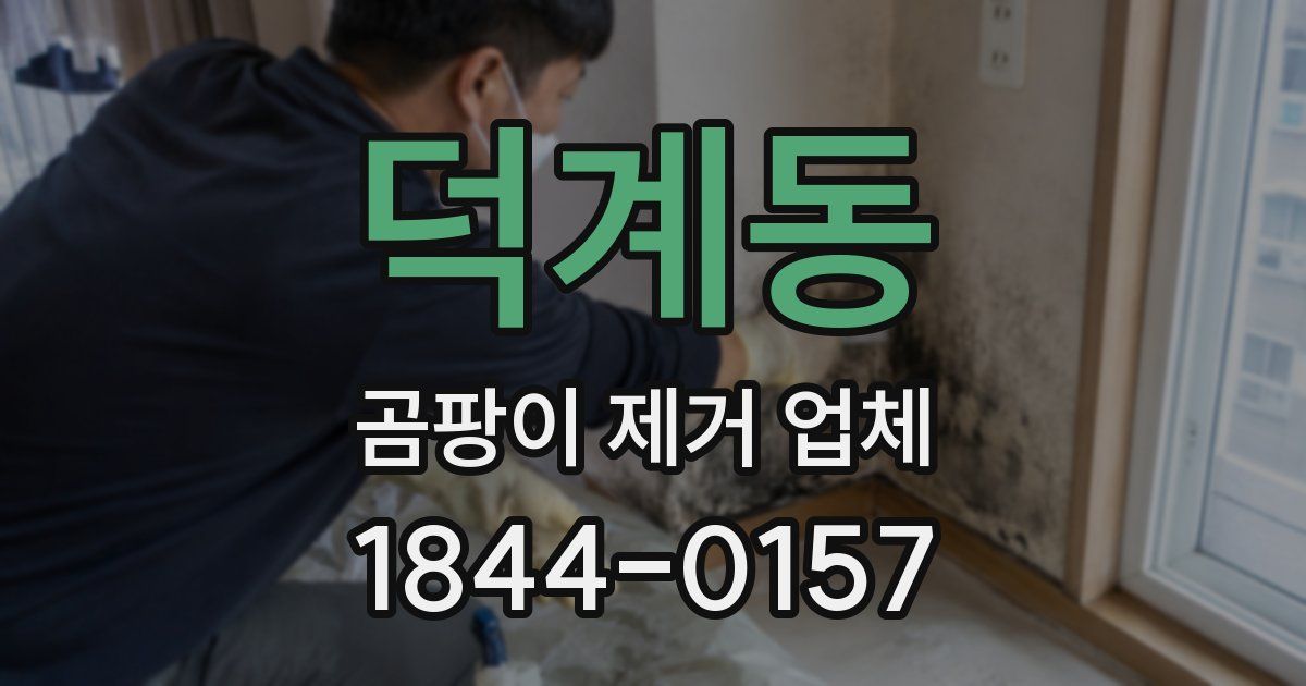 덕계동 곰팡이 제거 업체