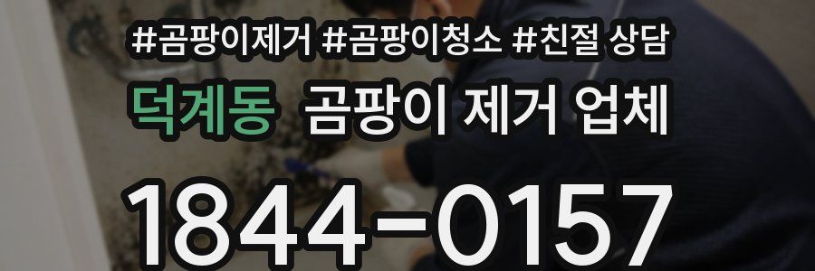 덕계동 곰팡이 제거 업체