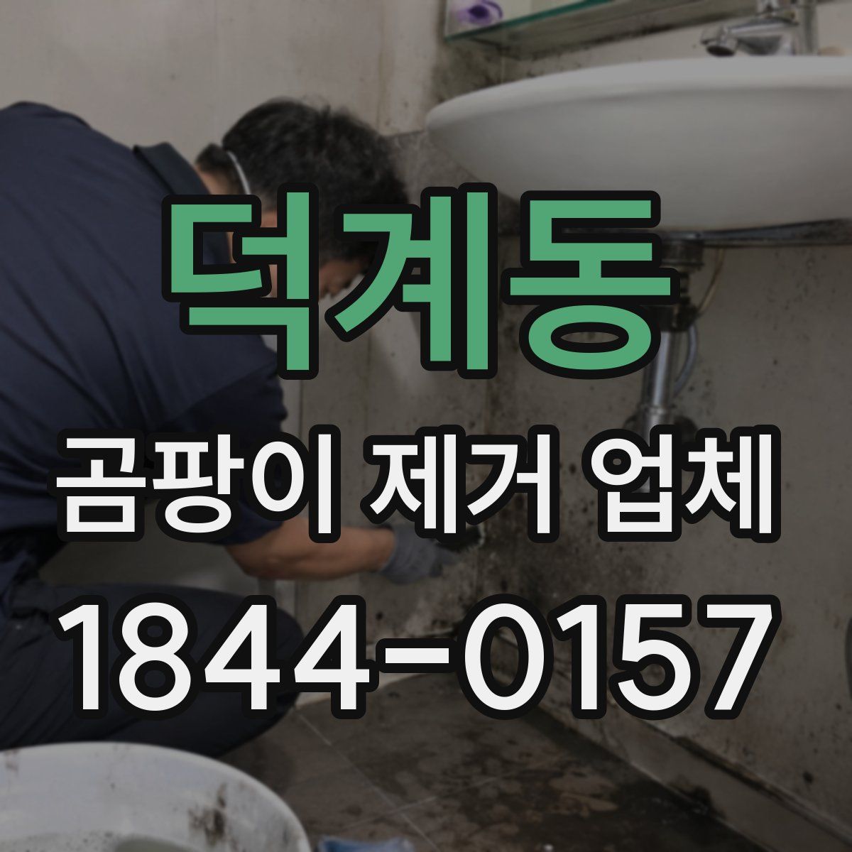 덕계동 곰팡이 제거 업체