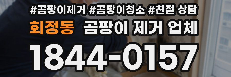 회정동 곰팡이 제거 업체