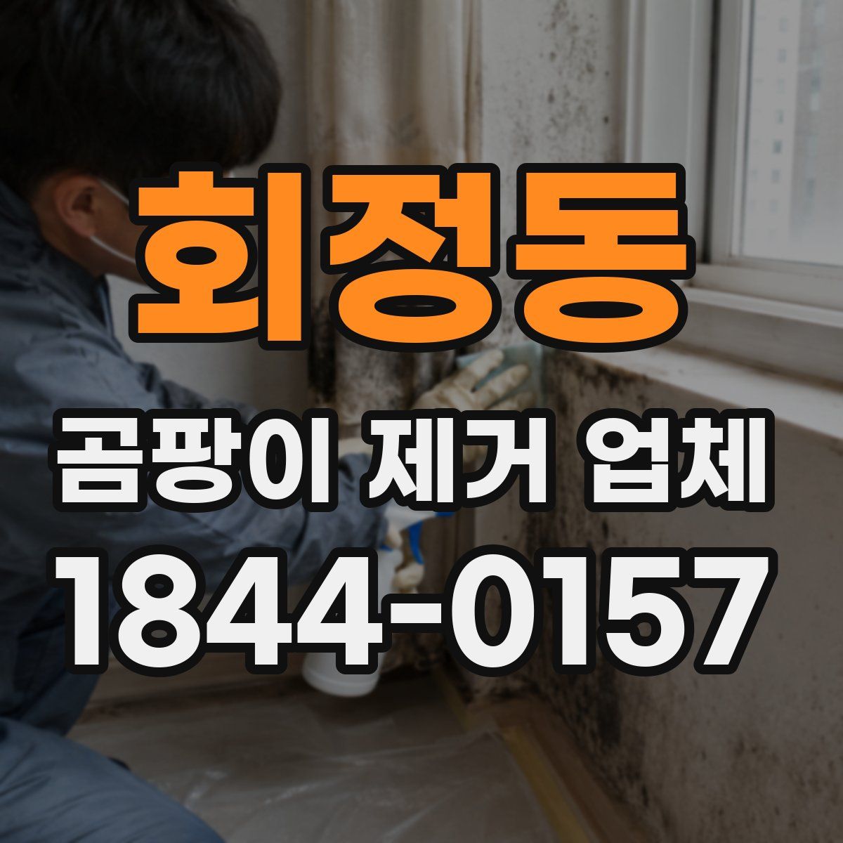 회정동 곰팡이 제거 업체