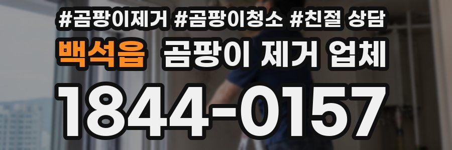 백석읍 곰팡이 제거 업체