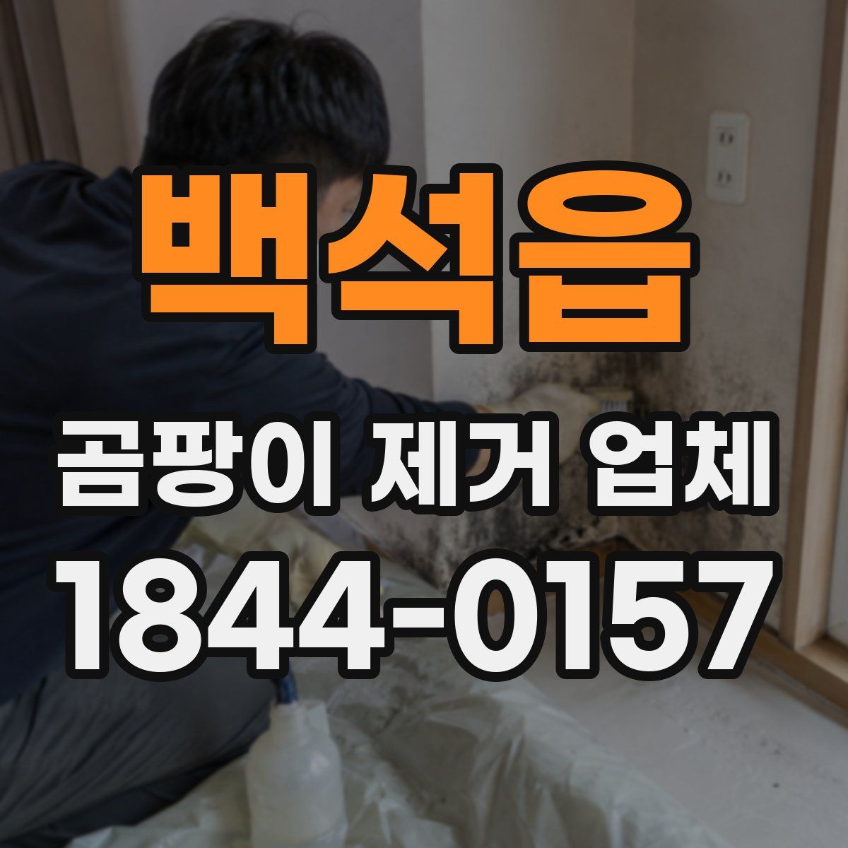 백석읍 곰팡이 제거 업체