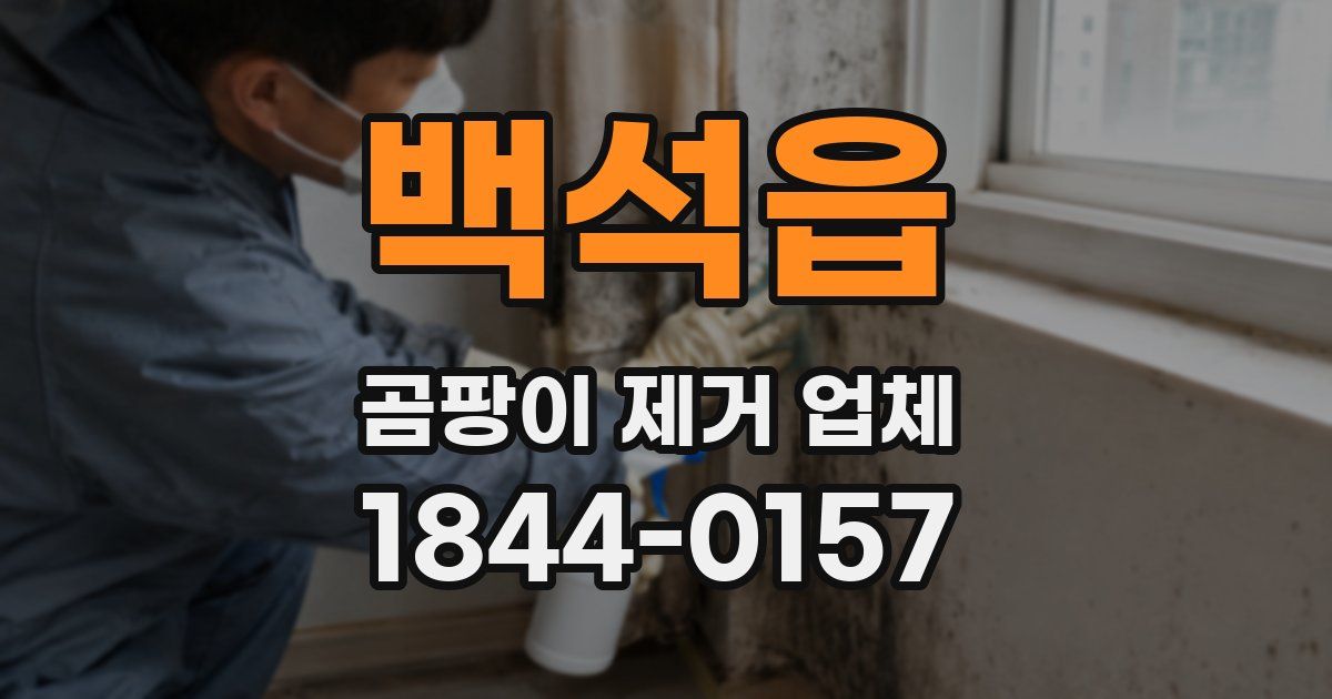 백석읍 곰팡이 제거 업체