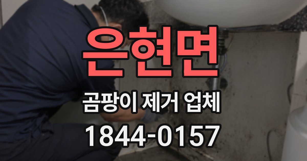 은현면 곰팡이 제거 업체