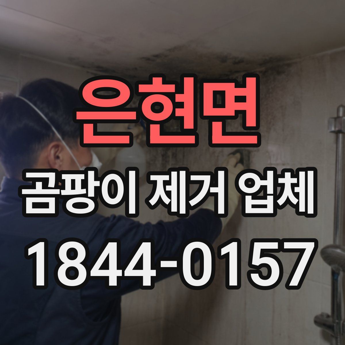 은현면 곰팡이 제거 업체