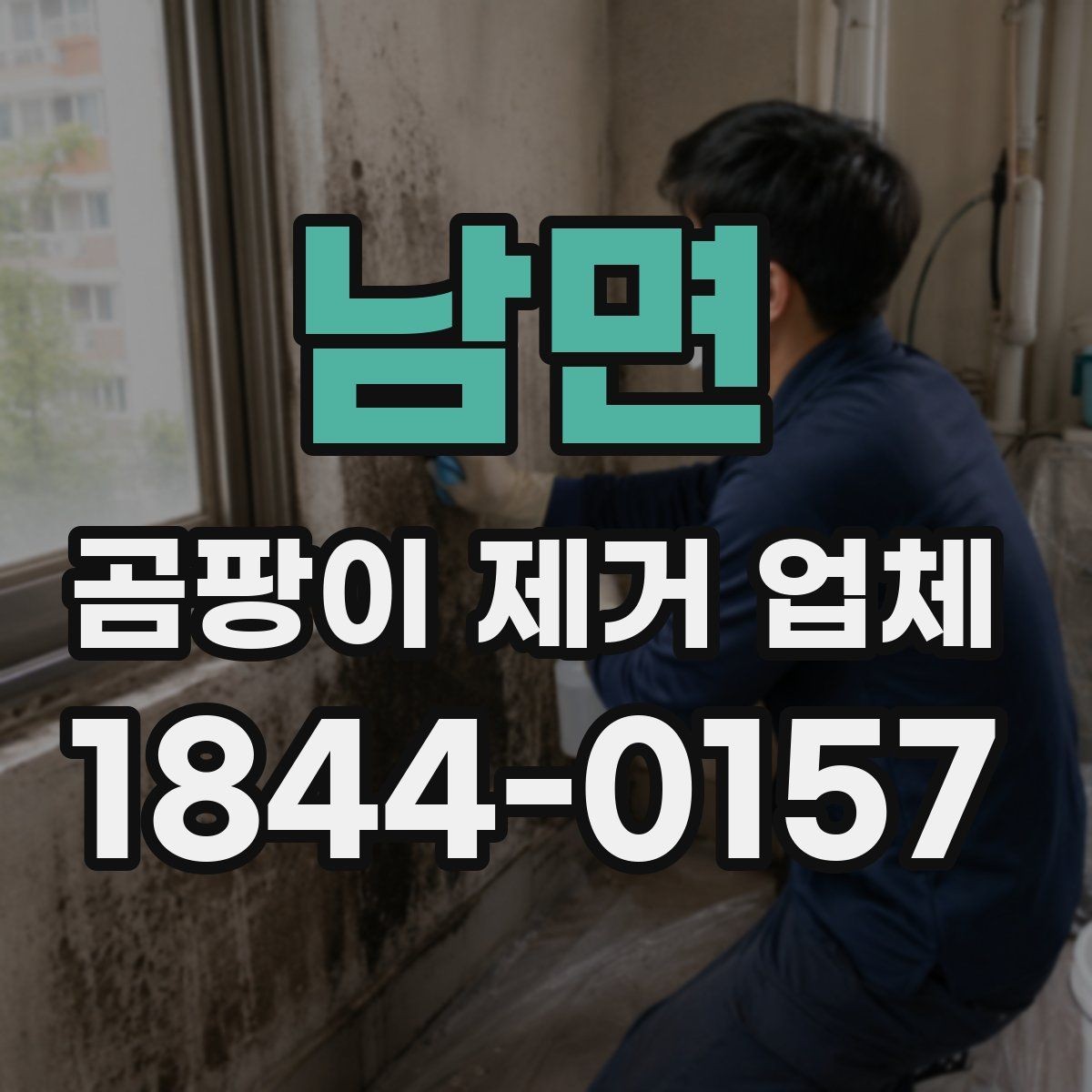 남면 곰팡이 제거 업체 선정 기준을 정리해보면
