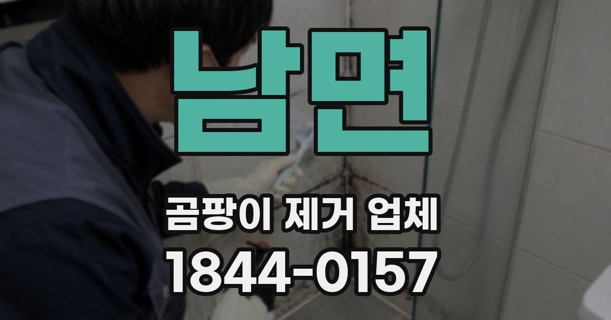 남면 곰팡이 제거 업체