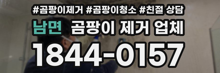 남면 곰팡이 제거 업체