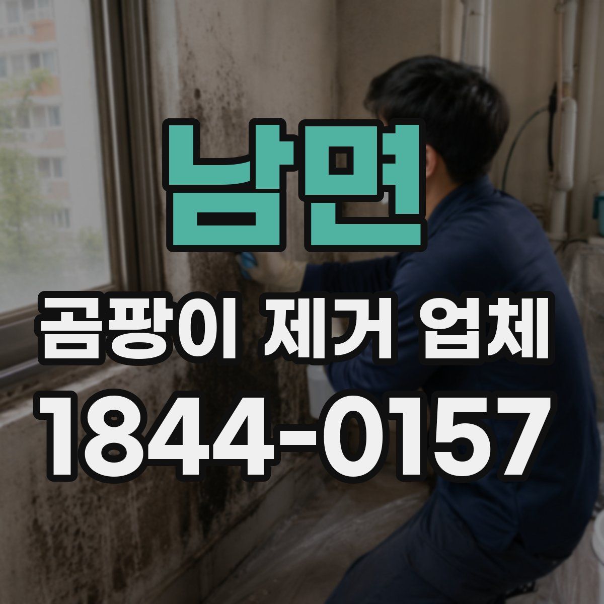 남면 곰팡이 제거 업체