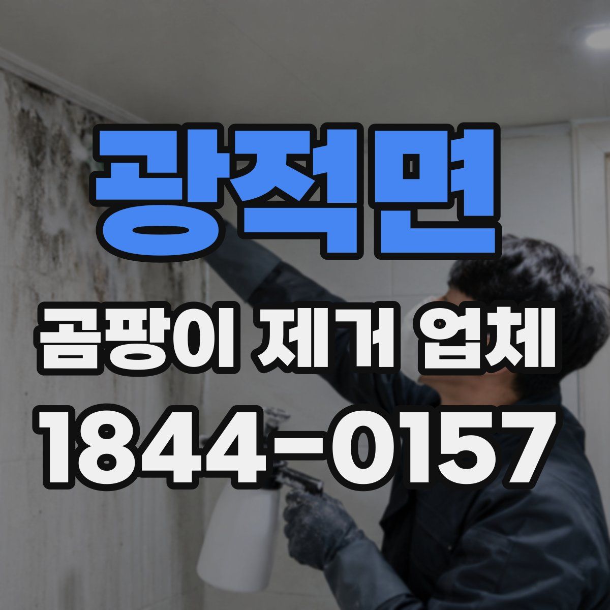 광적면 곰팡이 제거 업체