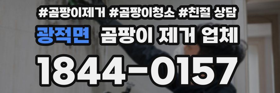 광적면 곰팡이 제거 업체