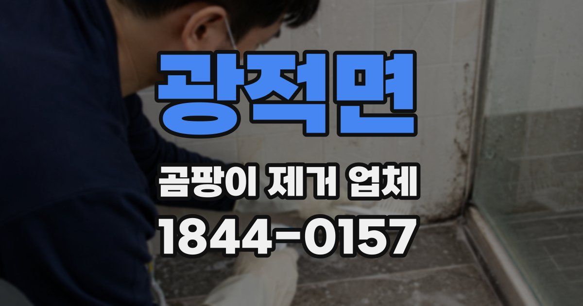 광적면 곰팡이 제거 업체