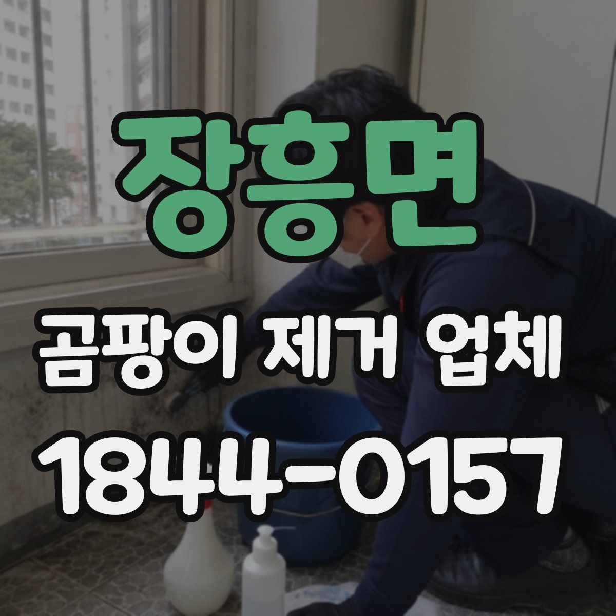 장흥면 곰팡이 제거 업체